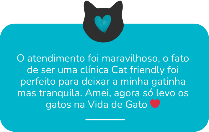 dep 2 vida de gato