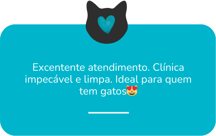 dep 4 vida de gato